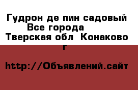 Гудрон де пин садовый - Все города  »    . Тверская обл.,Конаково г.